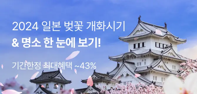 2024 일본 벚꽃 개화시기 기간한정 최대 ~43%