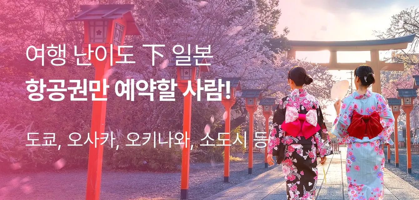 일본 노선 항공권만 예약할 사람!