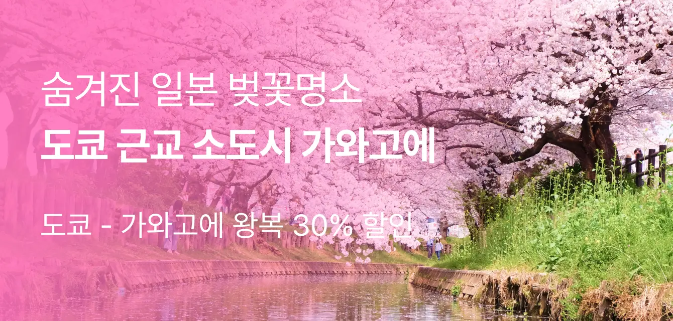 [투어비스 투티] 세이부 가와고에패스 프로모션
