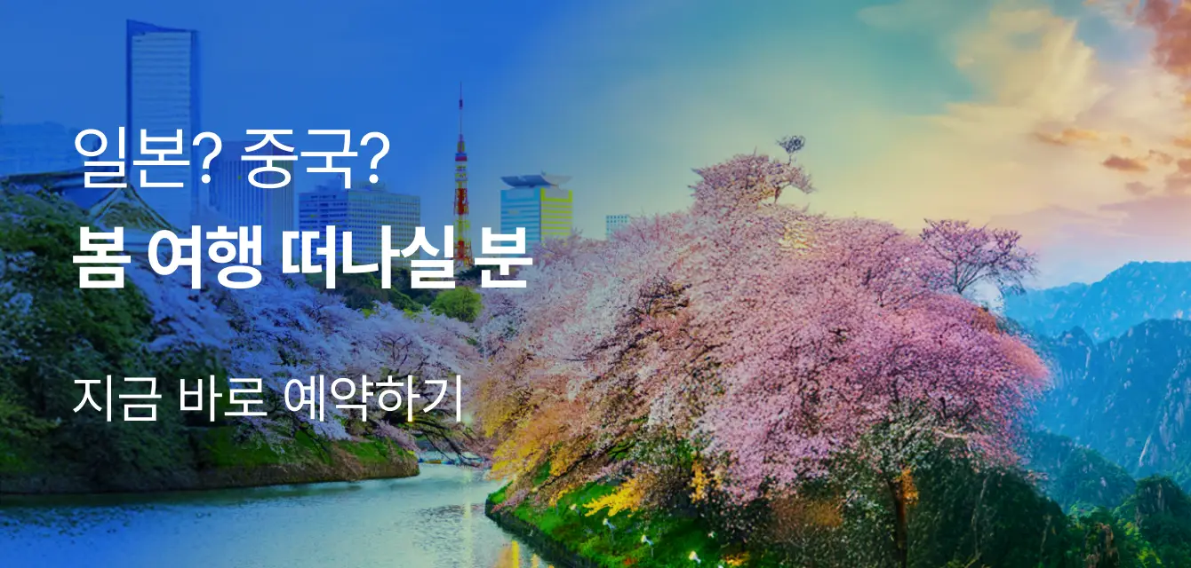 일본? 중국? 봄 여행 