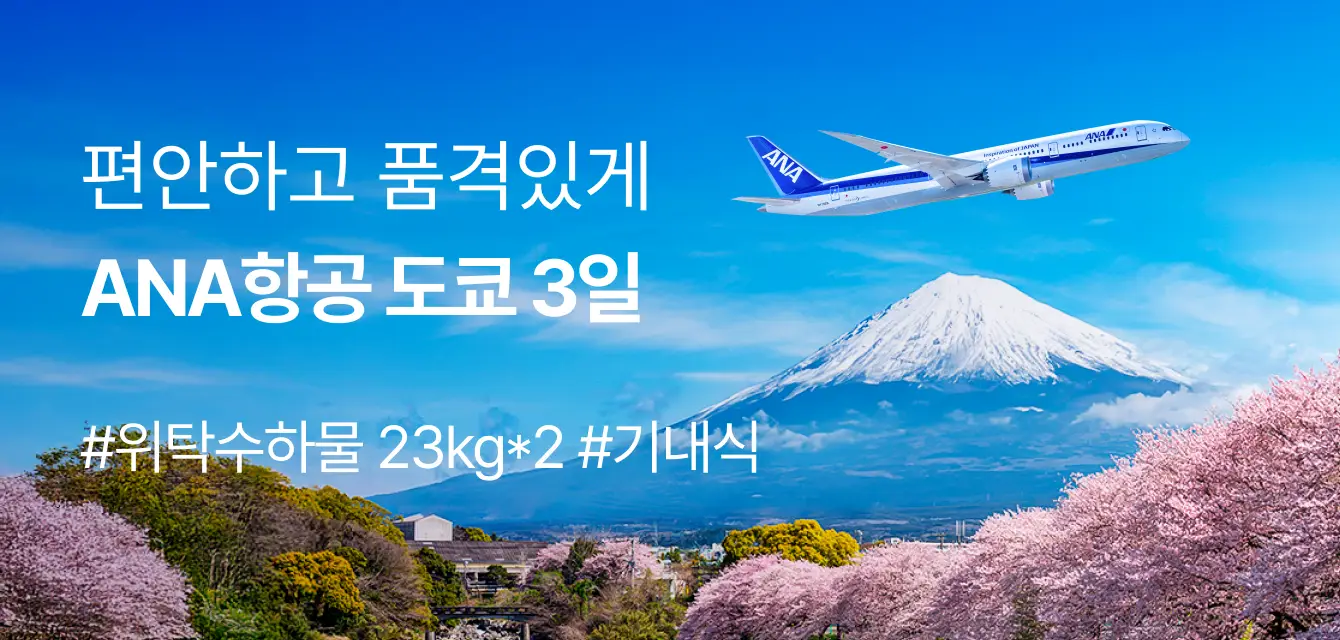ANA항공 도쿄 3일