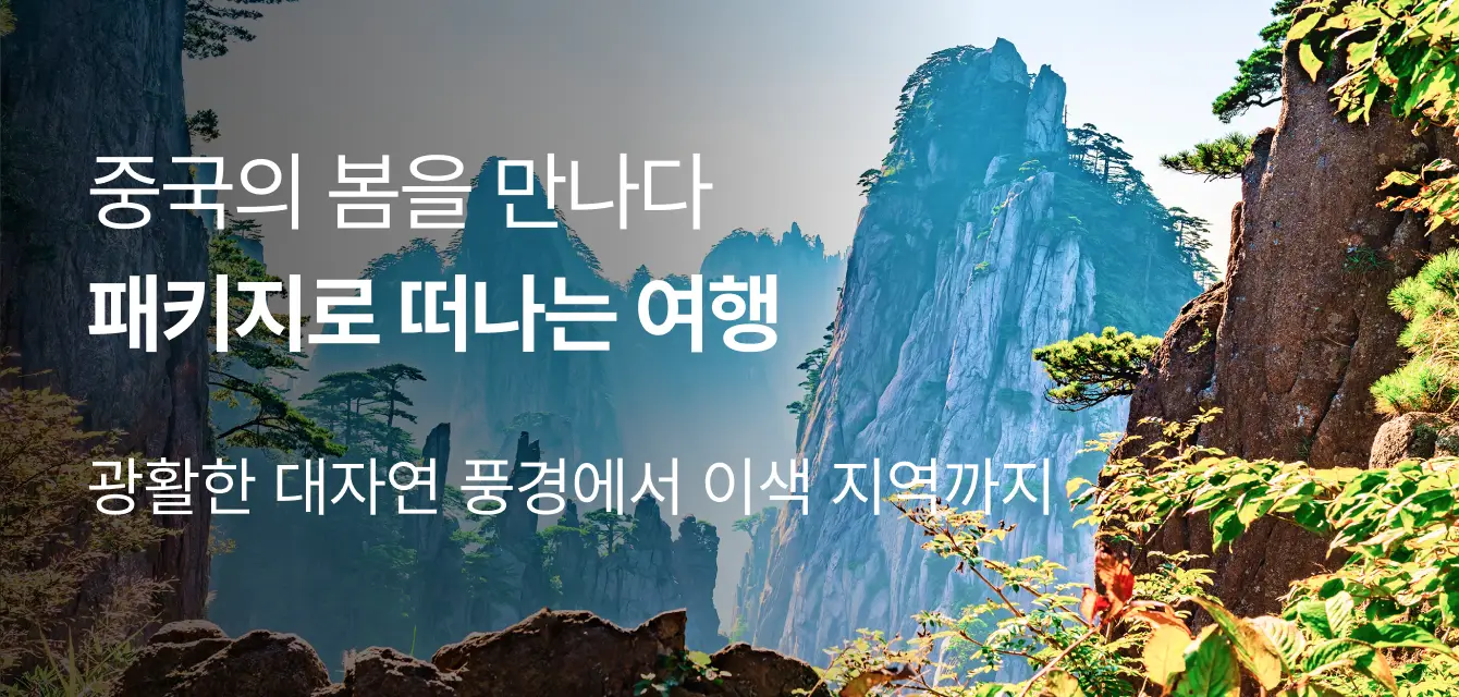 중국의 봄을 만나다