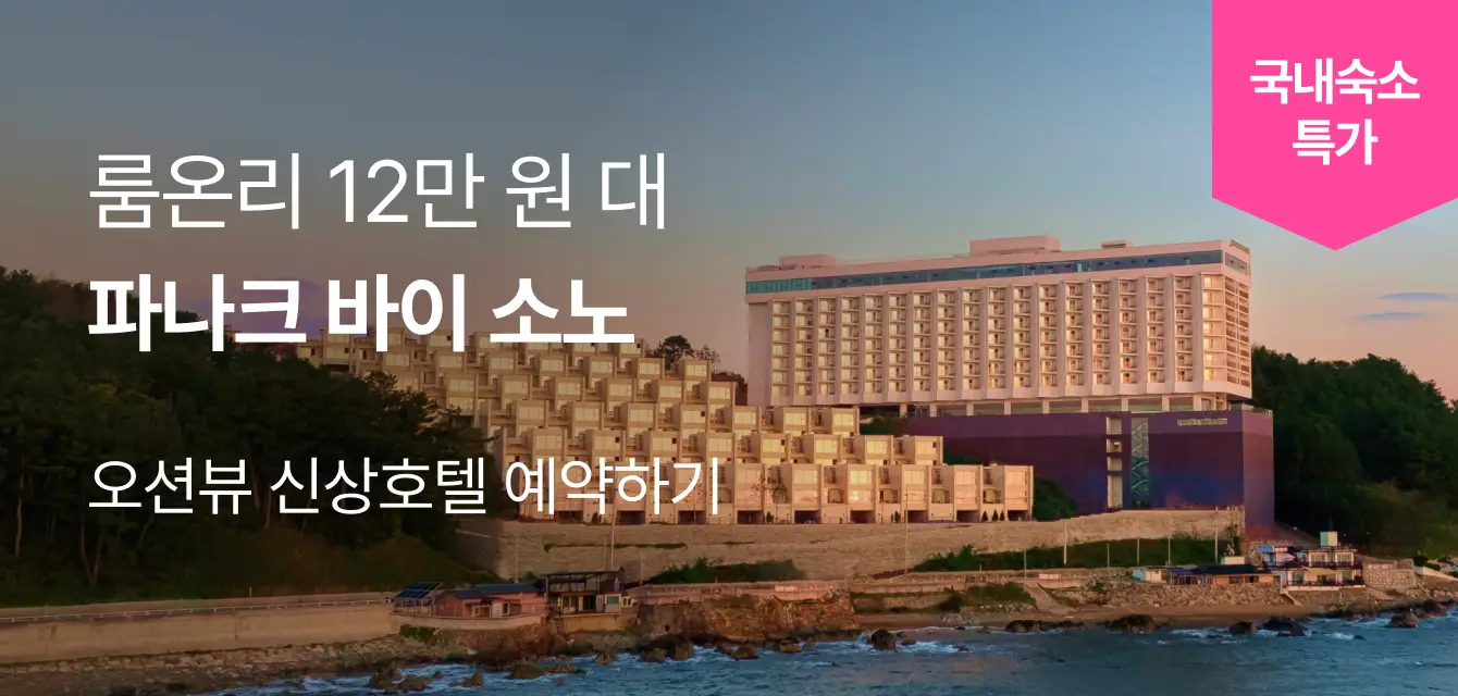 [국내] 파나크 바이 소노