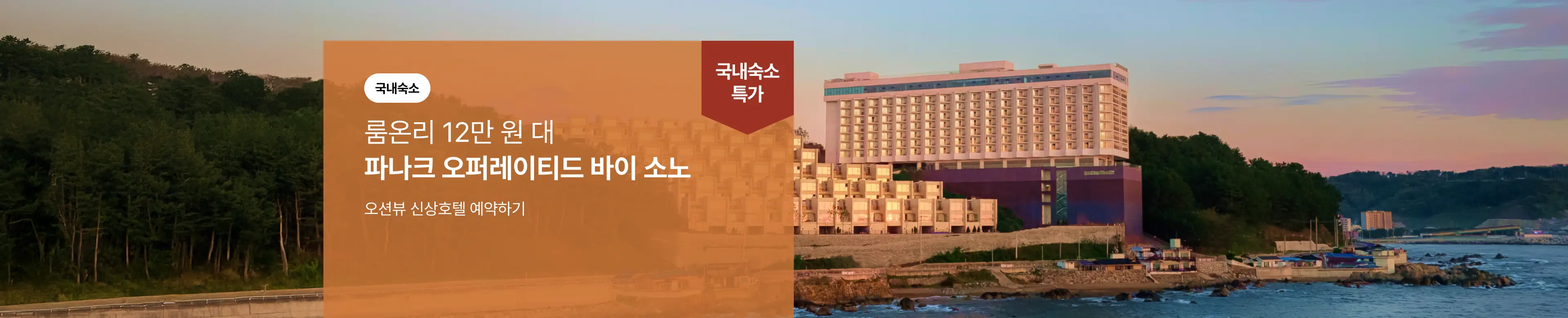 [국내] 파나크 바이 소노
