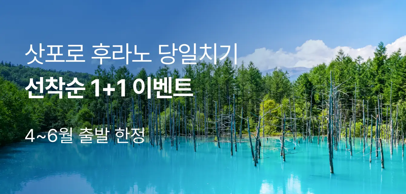 [투어비스 투티] 삿포로 버스투어 1+1