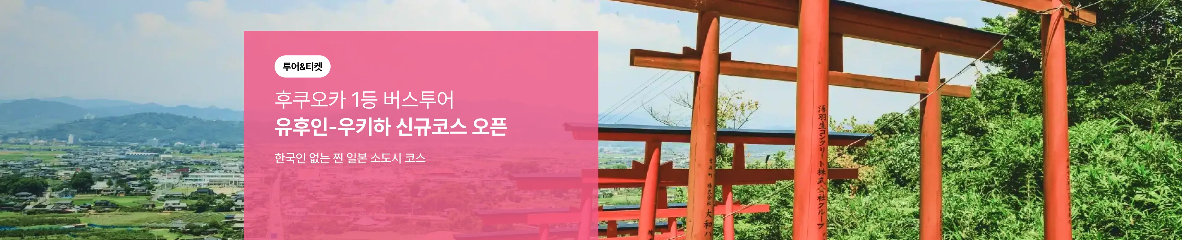 [투티] 유유투어 신규코스 오픈