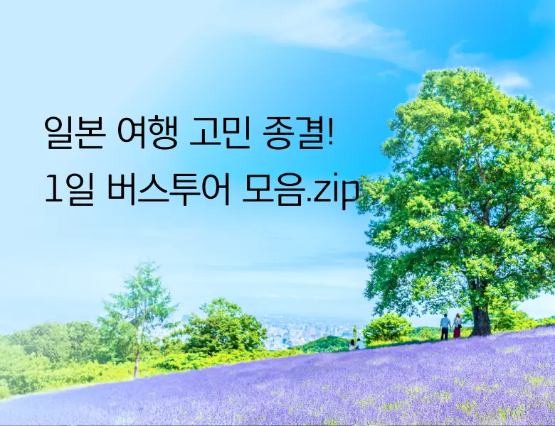 일본여행 고민 종결!<br>당일치기 버스투어 총정리