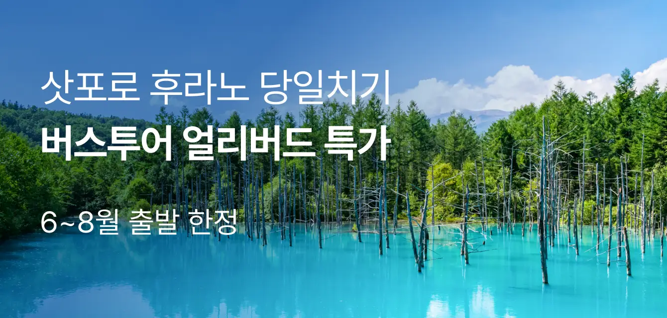 [투어비스 투티] 삿포로 버스투어 얼리버드