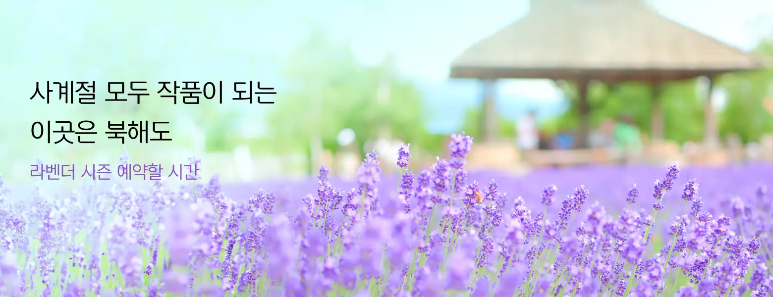 사계절 모두 작품이 되는 일본 북해도
