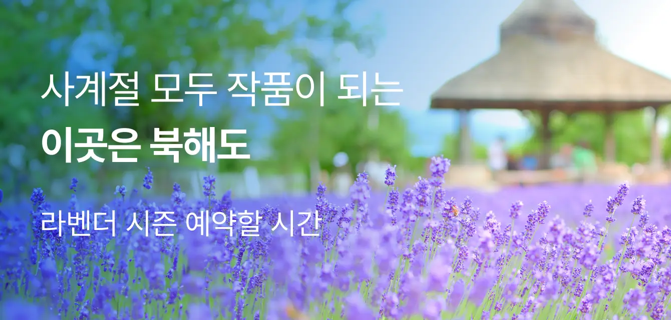 [패키지] 여름 북해도