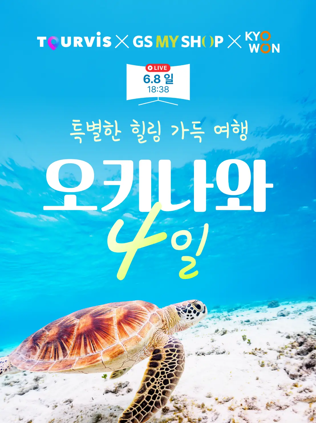 오키나와 4일