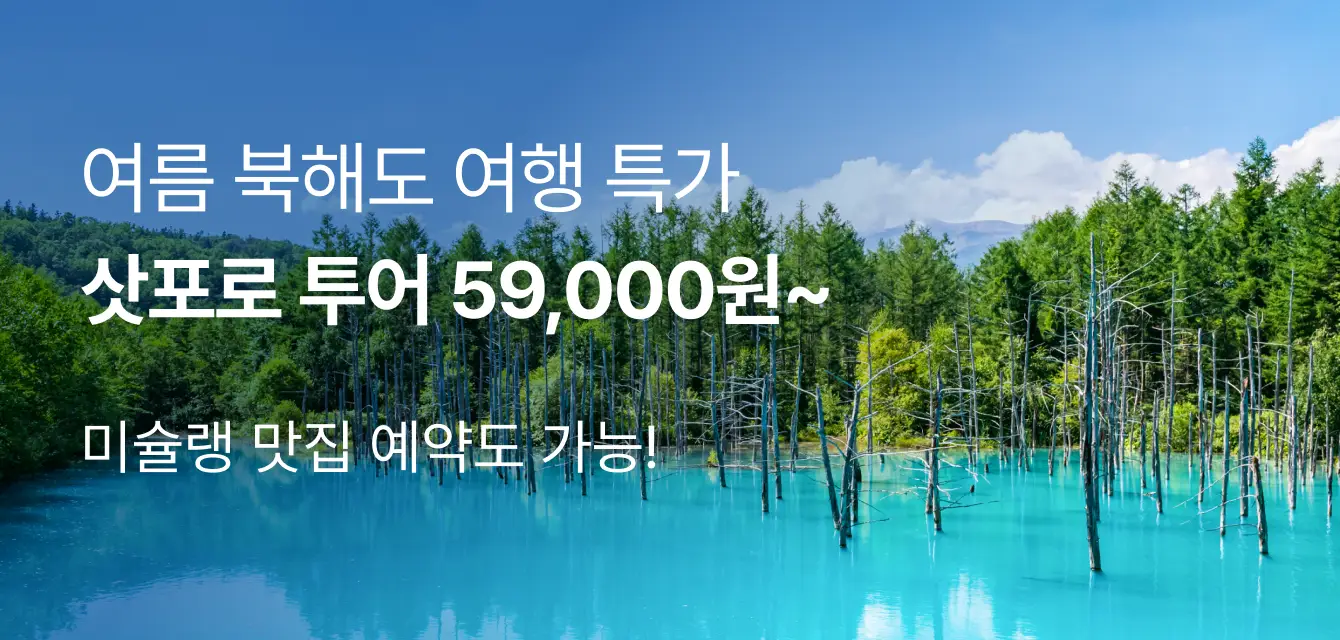 [투어비스 투티] 하루 삿포로 버스투어