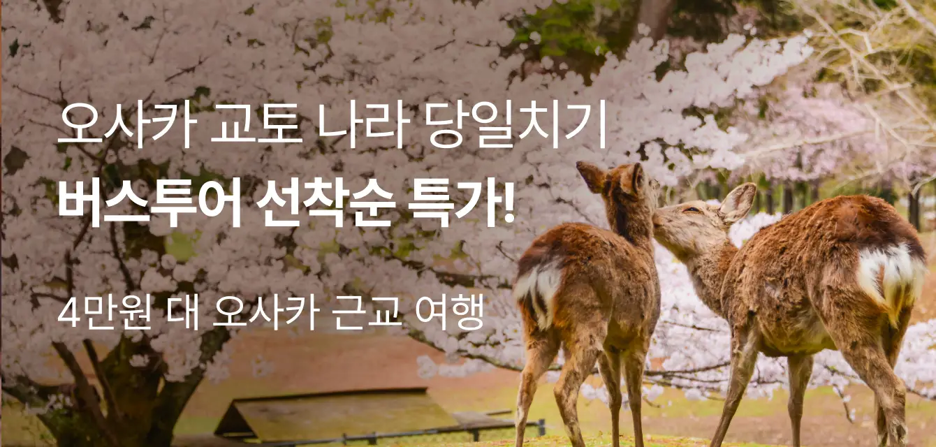 [투어비스 투티] 와쿠 교토 나라 버스투어