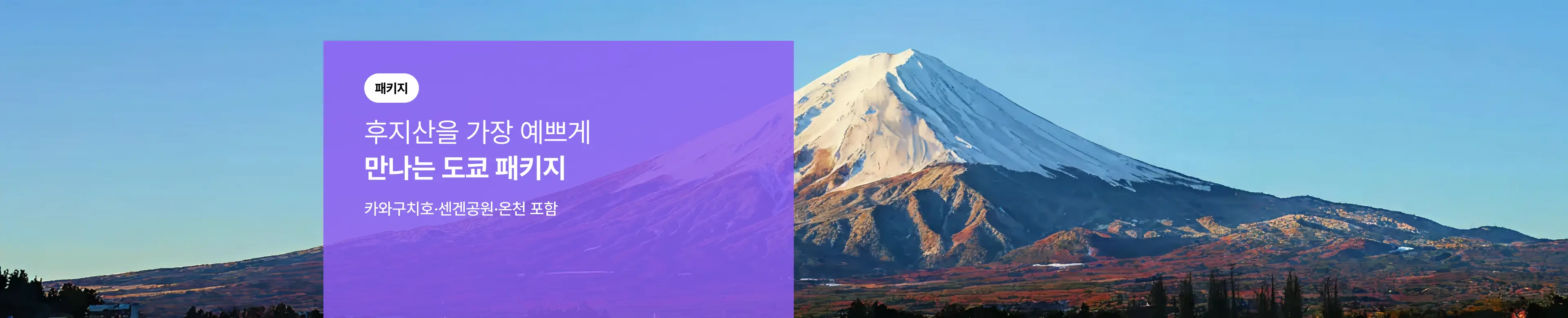 [패키지] 도쿄 3일