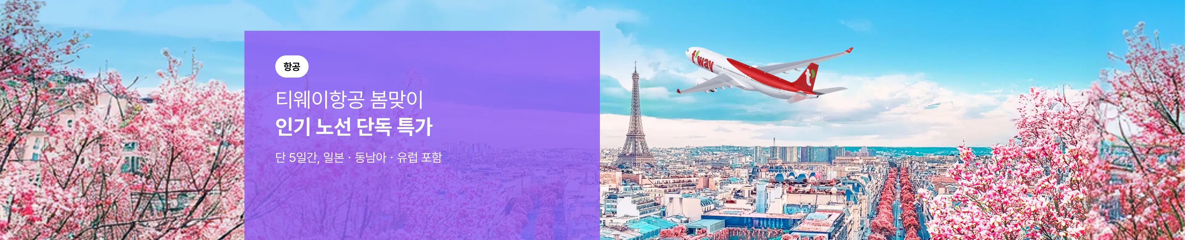봄맞이 티웨이항공 인기노선 단독 특가