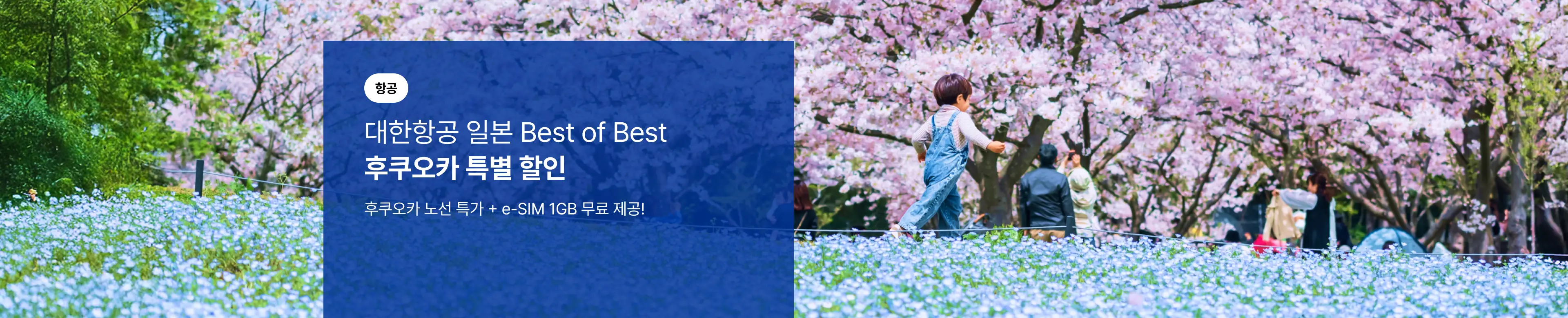 [항공] 대한항공 후쿠오카 특가