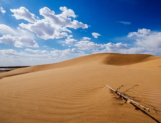 푸르른 초원의 숨결 여행의 최적기 '내몽골' 