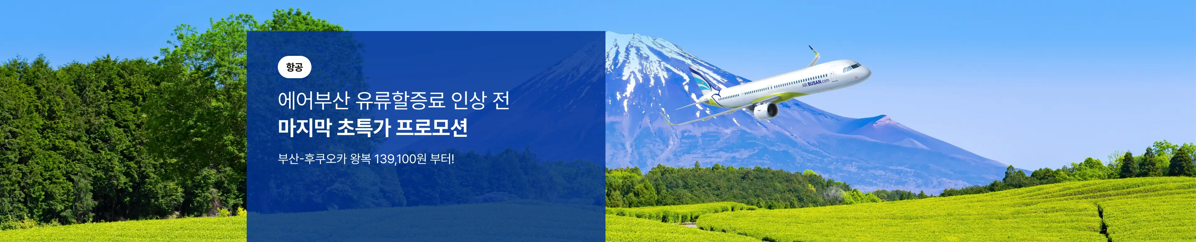 [항공] 에어부산 인기 도시 초특가