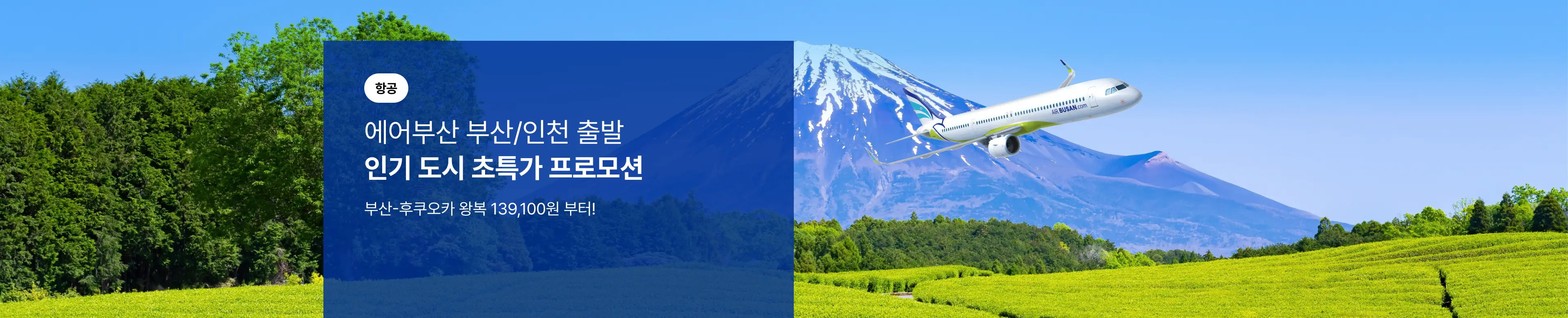 [항공] 에어부산 인기 도시 초특가