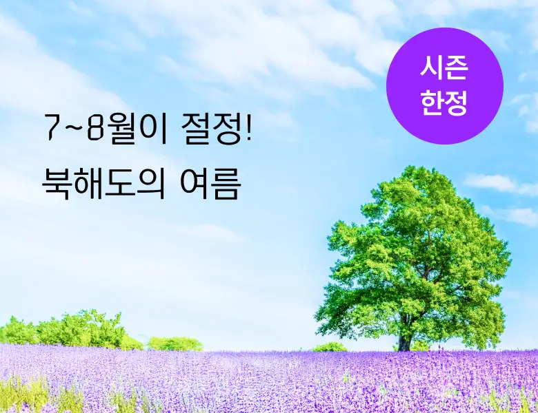 일본 여름 여행의 아이콘! 패키지부터 골프까지