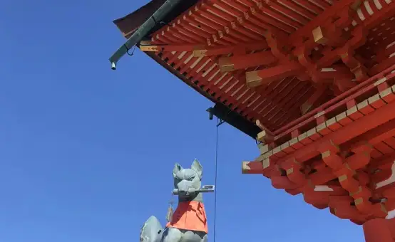 교토 버스투어 특가<br>핫 플레이스만 콕콕