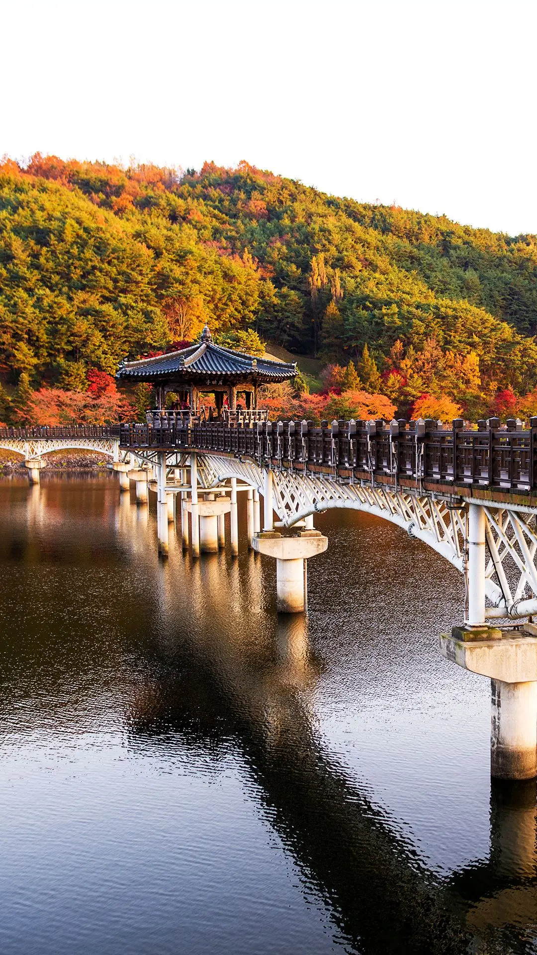 안동시 이미지