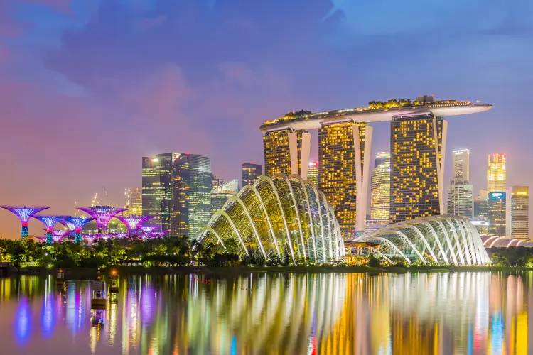 아름다운 자연과 화려한 야경, 싱가포르 ✨