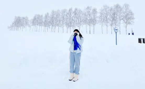 삿포로 버스투어 BEST3<br/>한눈에 비교하기