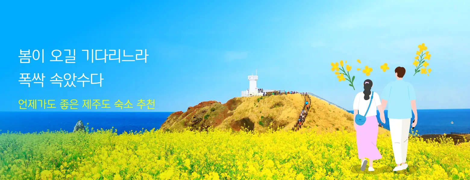 제주도 가기 딱 좋은 요금 <br>제주도 숙소 추천