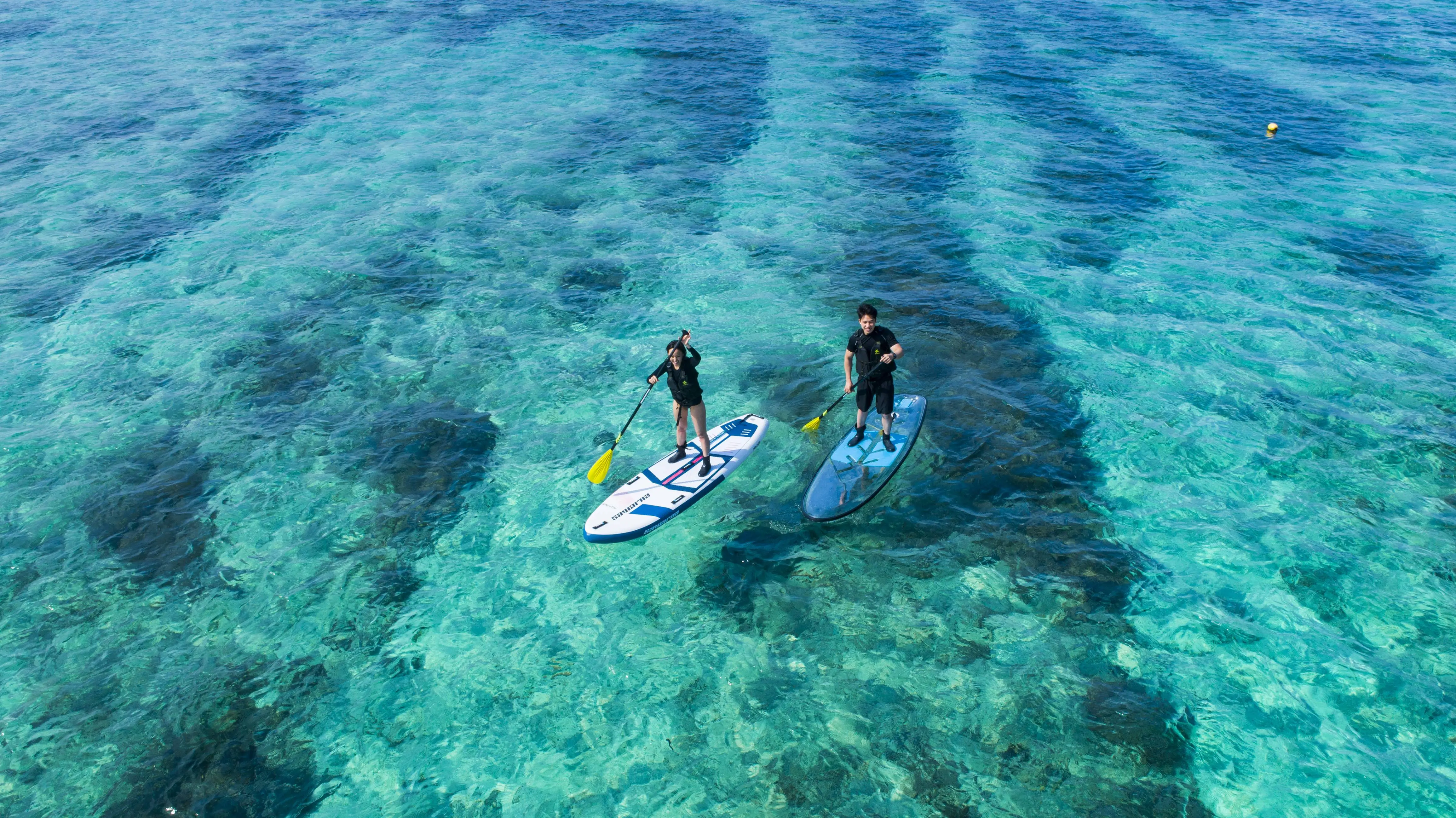 스탠드업 패들 보드(SUP) 체험