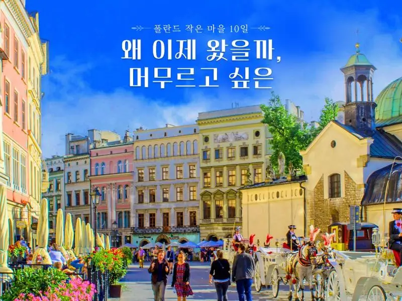 [왜 이제 왔을까, 머무르고 싶은] 폴란드 작은마을 10일 #2025 베스트상품 #비즈니스 #프리미엄이코노미