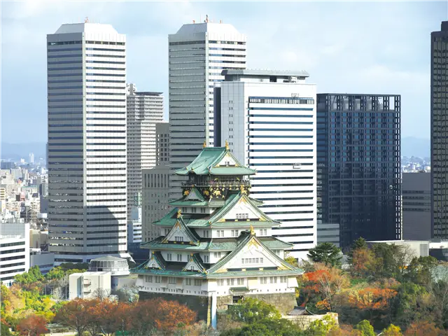 [출발확정][시내중심 신상호텔] 오사카/교토/아라시야마/와카야마 3일(전일/특식/고양이열차/참치해체쇼)