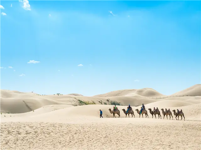 대표 상품 이미지