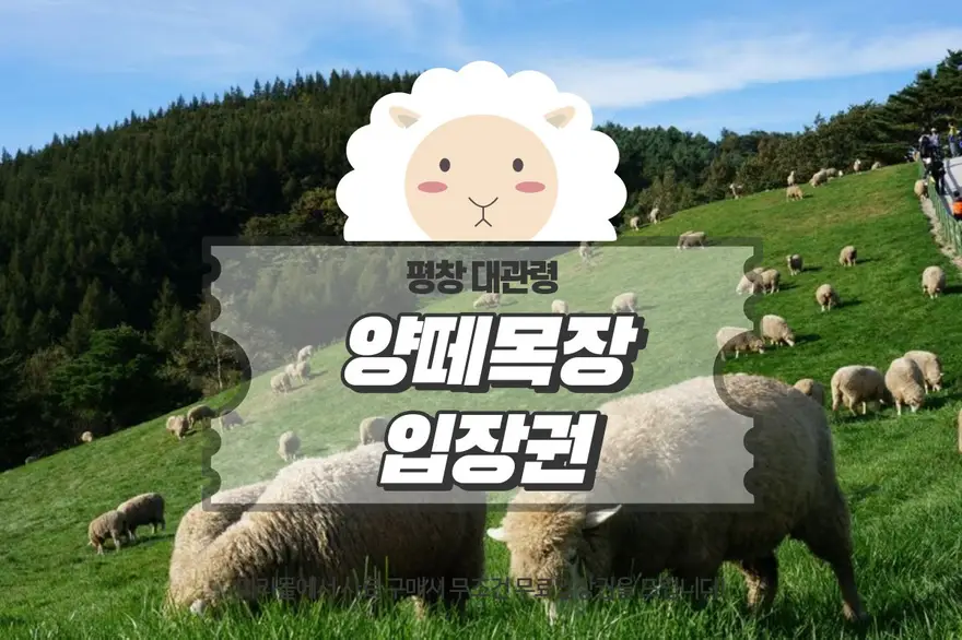 평창 대관령 양떼목장 입장권