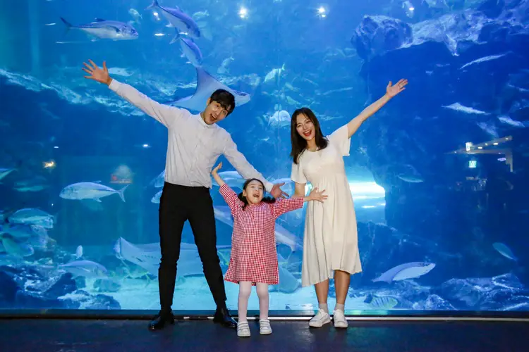 일산 아쿠아플라넷 입장권 1