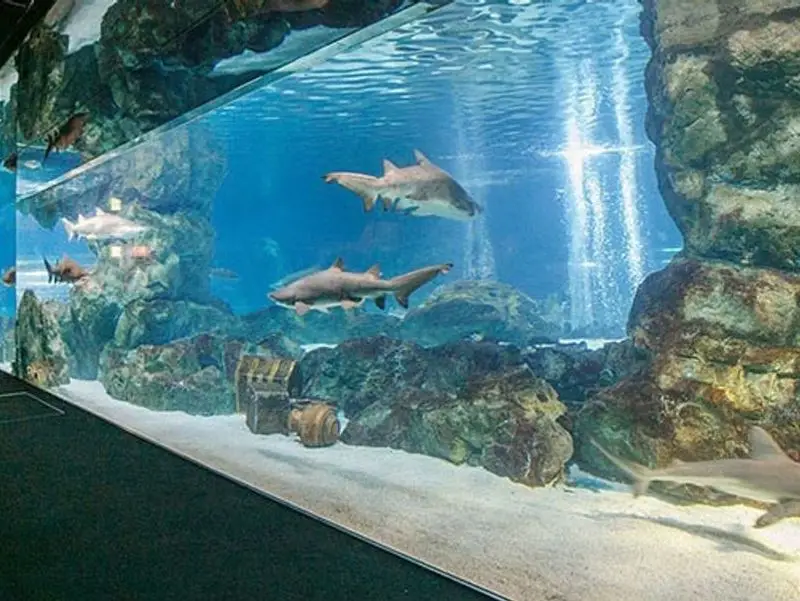 SEA LIFE 코엑스아쿠아리움 입장권