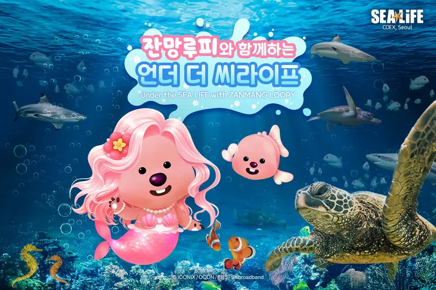 [서울/삼성] ★NEW★ SEA LIFE 코엑스아쿠아리움 입장권