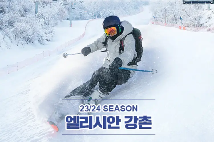 엘리시안 강촌 23/24 리프트권&장비 렌탈권