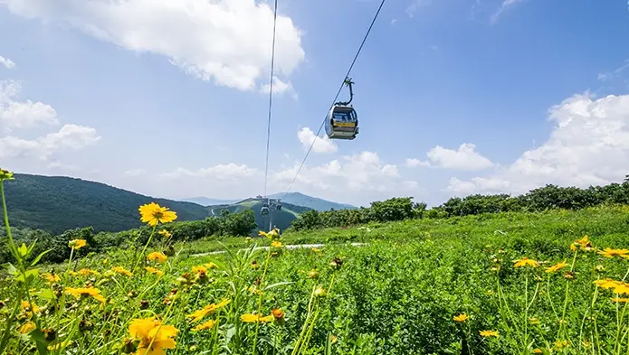 정선 하이원 운탄고도 케이블카 이용권