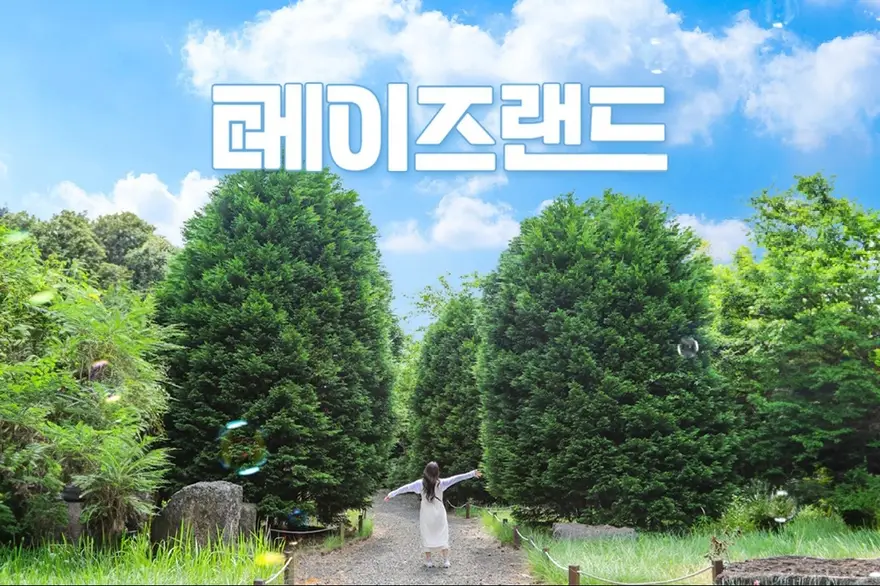 제주 메이즈랜드 입장권