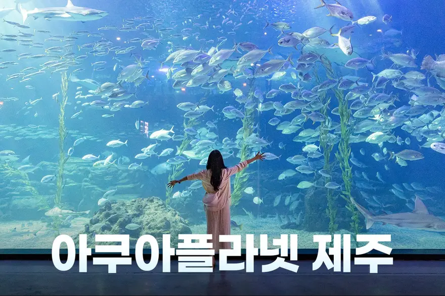 [EVENT] 아쿠아플라넷 종합권 + 추가 관광지 이용
