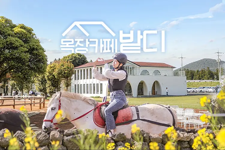 제주 목장카페 밭디 승마체험