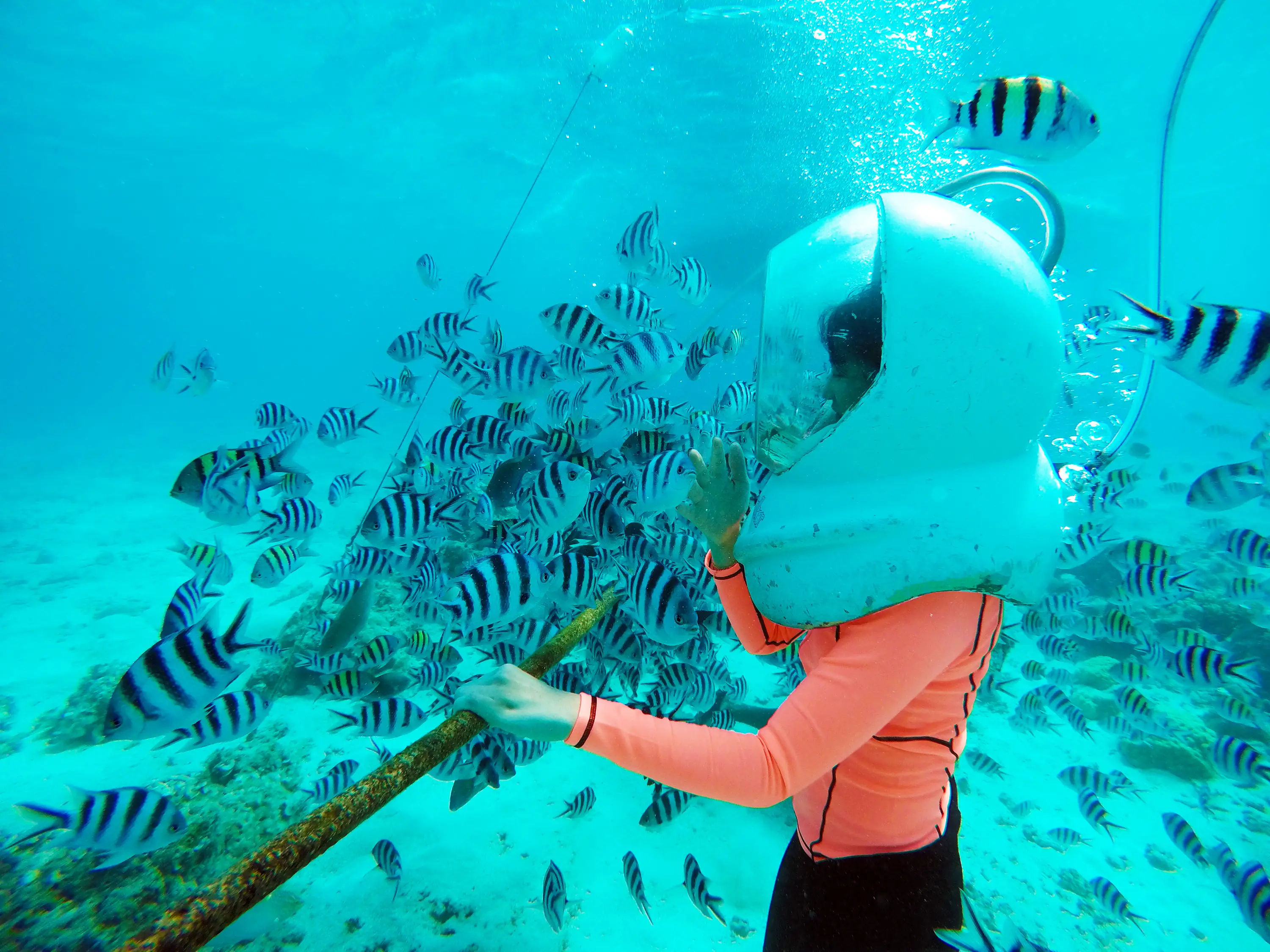 괌 비키니아일랜드 마린팩+아쿠아워커(픽업포함)