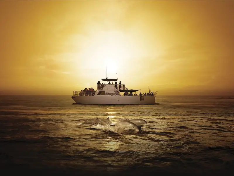 괌 빅 선셋 디너 크루즈(BBQ뷔페+무제한맥주)