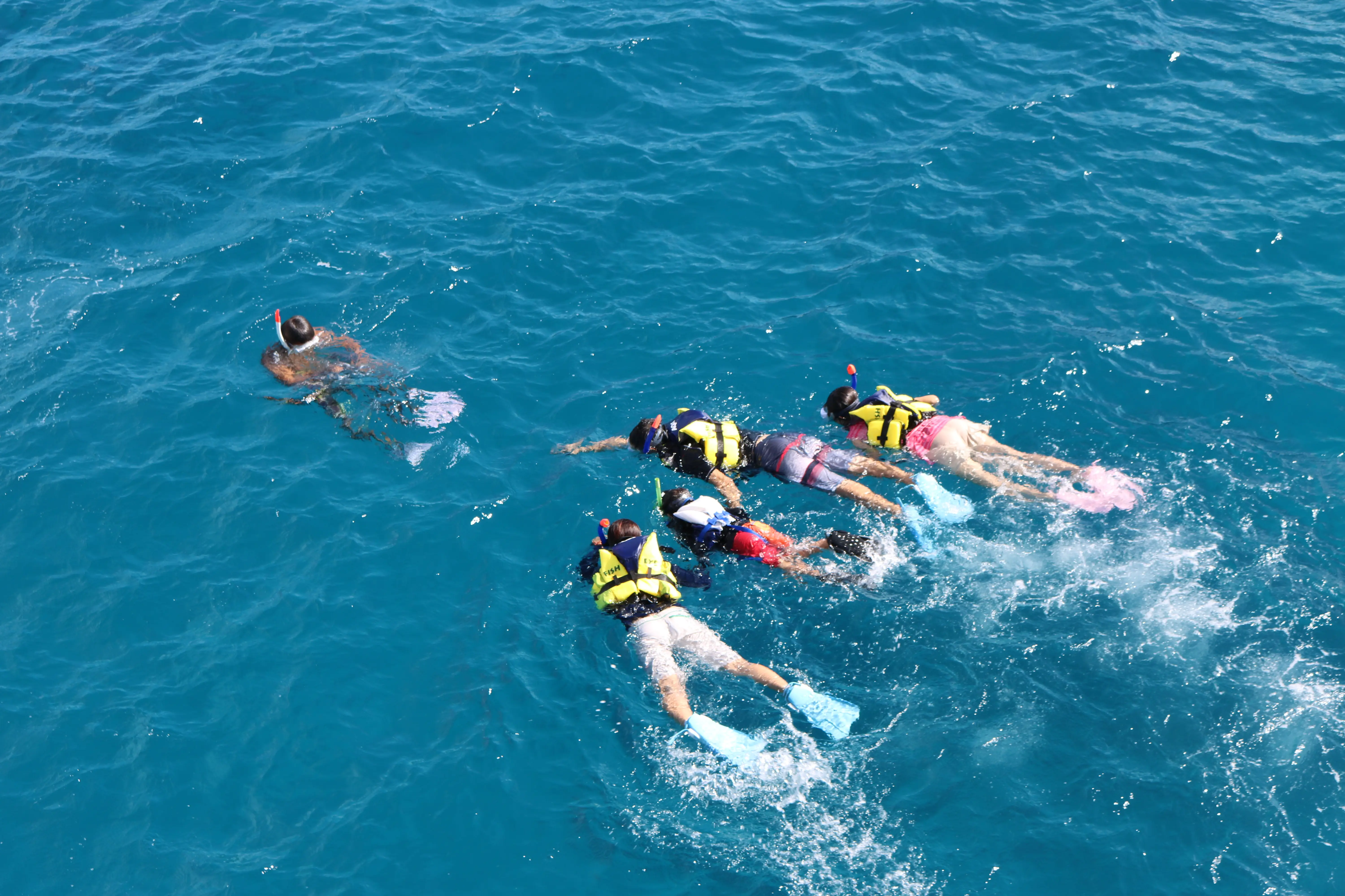 괌 피쉬아이 피티베이 스노클링 투어(돌핀크루즈 옵션)