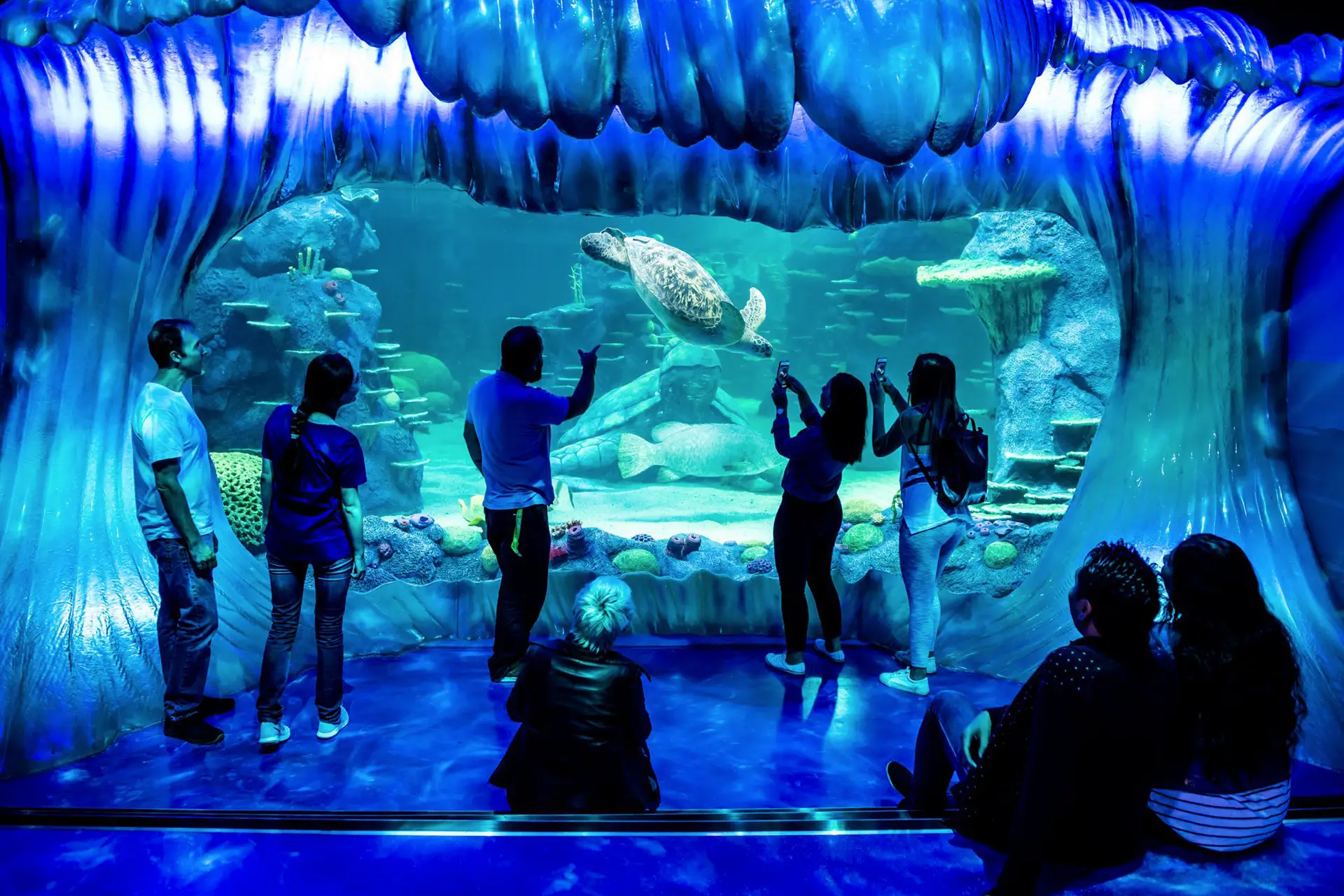 시드니 씨라이프 아쿠아리움 입장권 (QR 입장)