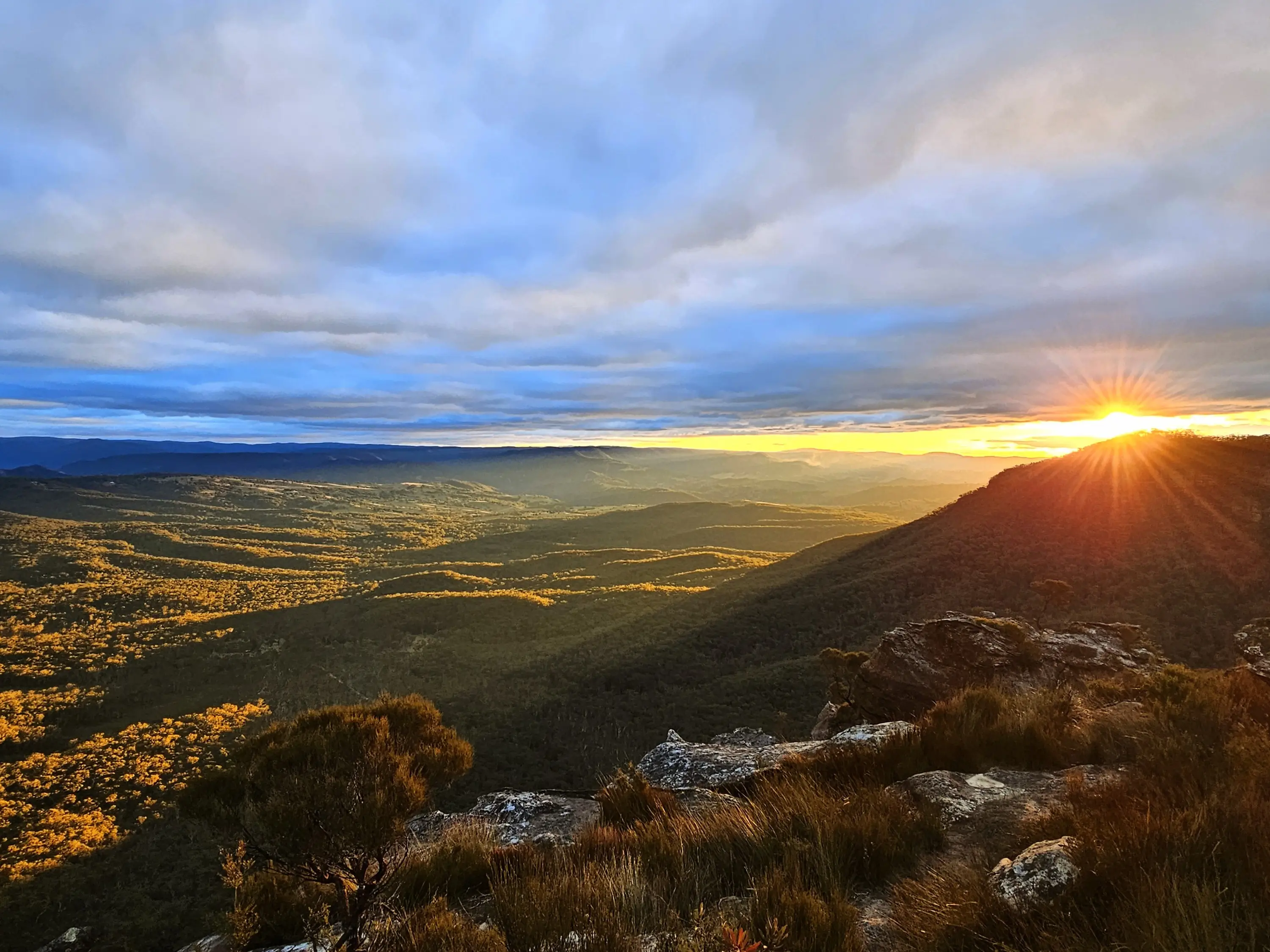 [단독혜택] 시드니 페더데일 동물원+블루마운틴 선셋 별보기 투어(동물원 픽업 가능)