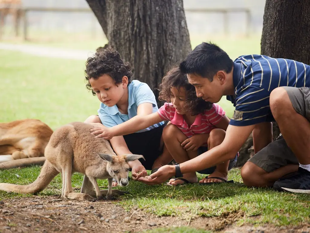 시드니 포트스테판 풀코스 투어 (사막/돌고래/동물원/와인시음/와이너리점심)