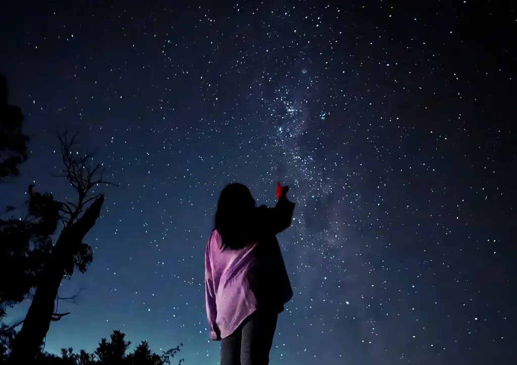 [즉시확정] 블루마운틴 선셋+별보기 다이렉트 코스 별빛 투어