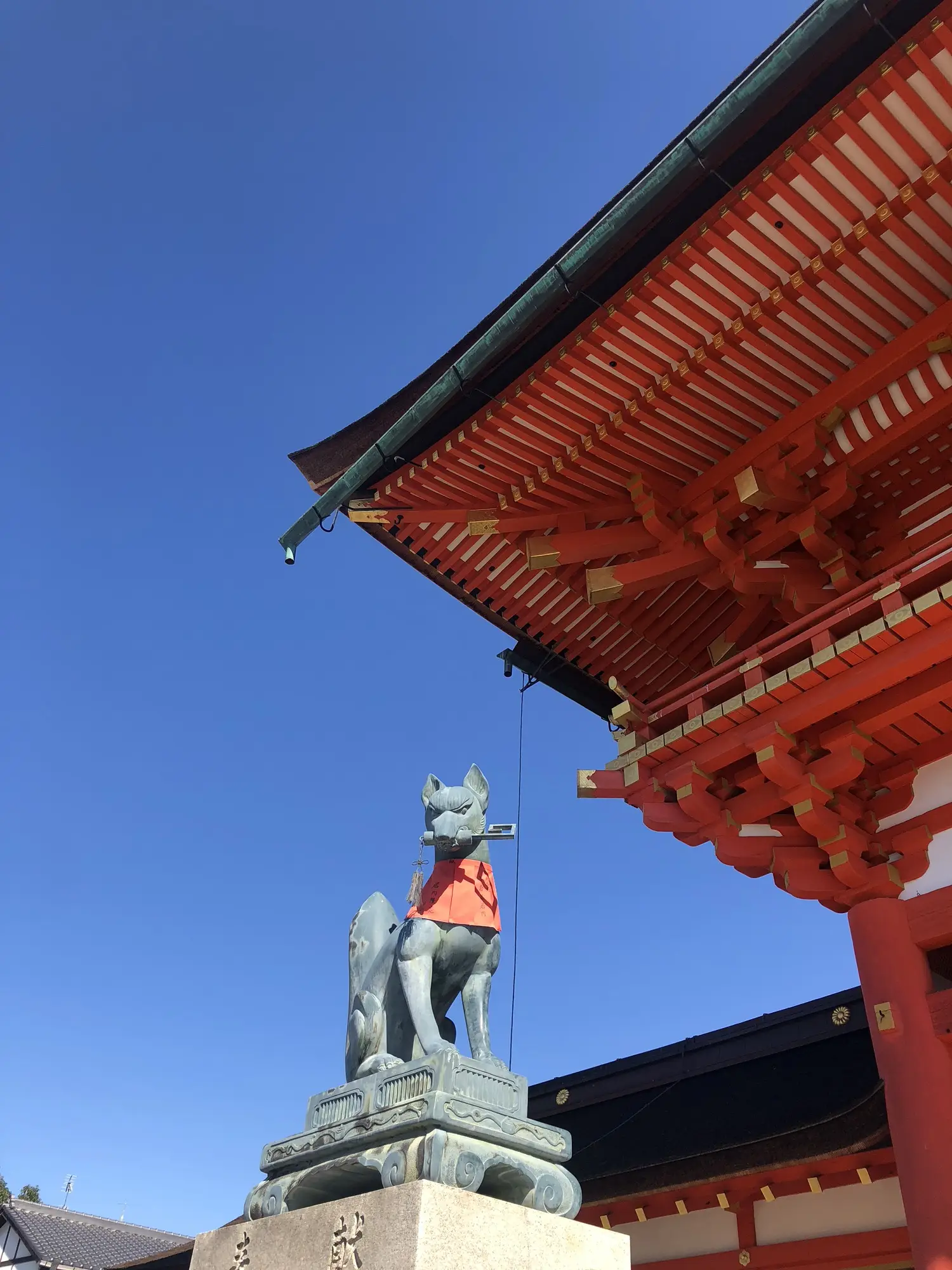 [1명부터 출발] 교토 버스투어 (청수사 후시미 금각사 아라시야마) 엔데이트립